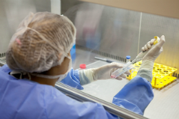 Imagem: No transplante alogênico, é necessária a doação da medula de outra pessoa, para que o doador e paciente submetam-se ao transplante (Foto: Ministério da Saúde)