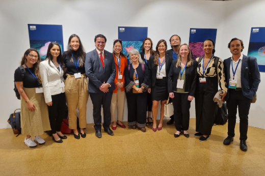 A Profª Tarin Mont'Alverne (2ª da esq. para a dir., de blazer branco) integra a delegação brasileira no evento, e tem atuado como observadora na negociação do acordo global sobre poluição marinha por plásticos (Foto: Divulgação) Imagem: Foto posada da delegação brasileira presente à Segunda Sessão do Comitê de Negociação Intergovernamental sobre poluição por plásticos