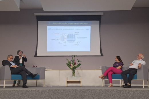 A vice-reitora Diana Azevedo apresentou os principais avanços em pesquisas realizadas no âmbito dos processos de adsorção de contaminantes presentes no biogás e no biometano, além de um sistema inovador de armazenamento e transporte de gás natural (Foto: Divulgação) Imagem: De pé, a vice-reitora Diana Azevedo realiza a palestra "Desenvolvimento de projetos" no seminário da CEGÁS