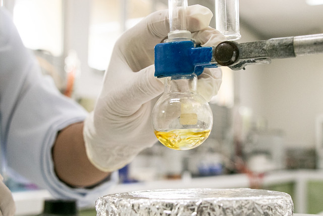 Imagem: uma mão com luvas de plástico segura um tubo de ensaio contendo uma substância amarela