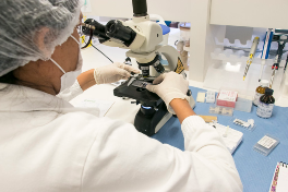 Faculdade de Medicina receberá R$ 1,5 milhão para investir em projetos de pesquisa e ações de extensão (Foto: Viktor Braga) Imagem de pesquisadora em laboratório utilizando máquina