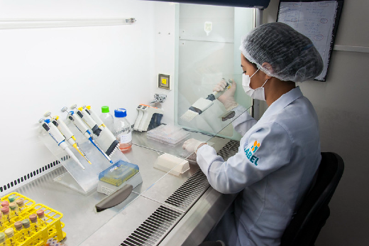 Na UFC, são ofertadas bolsas com foco em pesquisa, extensão, cultura e empreendedorismo (Foto: Viktor Braga/UFC) Imagem: Estudante em bancada de laboratório, utilizando EPI