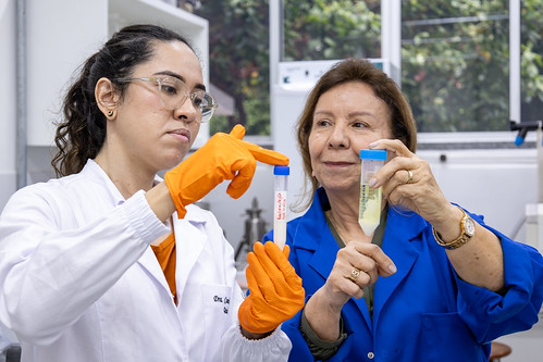 As pesquisadoras responsáveis pelo invento, Camila Peixoto (esq.) e Profª Nágila Ricardo, do Departamento de Química Orgânica e Inorgânica, mostram o óleo de tilápia puro e a sua nanoformulação (Foto: Guilherme Silva/UFC) Imagem: As pesquisadoras responsáveis pelo invento, Camila Peixoto (esq.) e Profª Nágila Ricardo, do Departamento de Química Orgânica e Inorgânica, mostram o óleo de tilápia puro e a sua nanoformulação (Foto: Guilherme Silva/UFC)