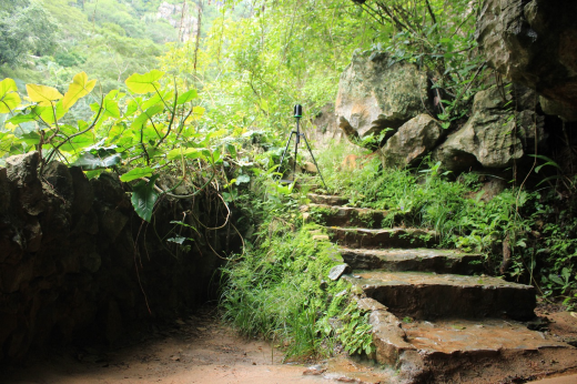 Com a etapa de captura de imagens finalizada, atualmente está em curso o processamento desse material para reconstituição digital do espaço (Foto: divulgação) Imagem: Foto de uma trilha de pedra em meio à vegetação densa, com degraus irregulares cobertos por musgo e plantas. À direita, há grandes pedras e vegetação nativa. No topo da escada, sobre um dos degraus, está montado um equipamento de medição em um tripé. A luz natural entra suavemente pela copa das árvores, iluminando o caminho. A cena transmite a sensação de um ambiente úmido, natural e preservado, possivelmente na entrada de uma gruta ou em uma área de mata fechada.