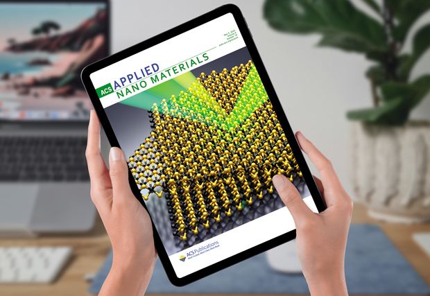 O trabalho levou cerca de dois anos e meio, desde a preparação das amostras até a aceitação do artigo pela revista, no mês passado (Imagem: Design UFC Informa/Divulgação) Imagem: capa da revista