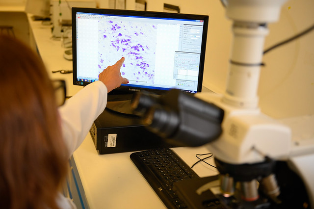 Imagem: Os comitês de assessoramento reúnem mais de 300 pesquisadores, selecionados de acordo com sua área de atuação (Foto: Ribamar Neto/UFC)