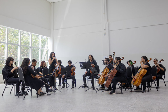 Imagem: Camerata de Cordas da UFC se apresentando no evento