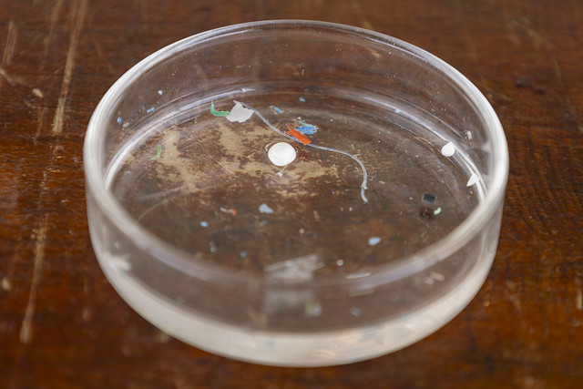 Imagem: Microplásticos filtrados pelo coletor utilizado na pesquisa (Foto: Guilherme Silva/UFC)