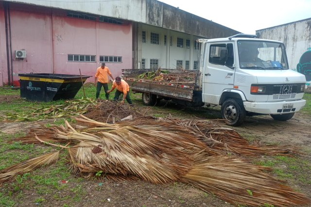 Entre as ações de limpeza, estão sendo realizados serviços de roçagem, poda, capinagem e recolhimento de resíduos vegetais (Foto: UFC Infra) Imagem: Homens retirando palha no campus do Pici e colocando em caminhão